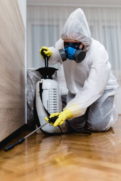 Best Real Estate Pest Inspections  in Livonia, MI